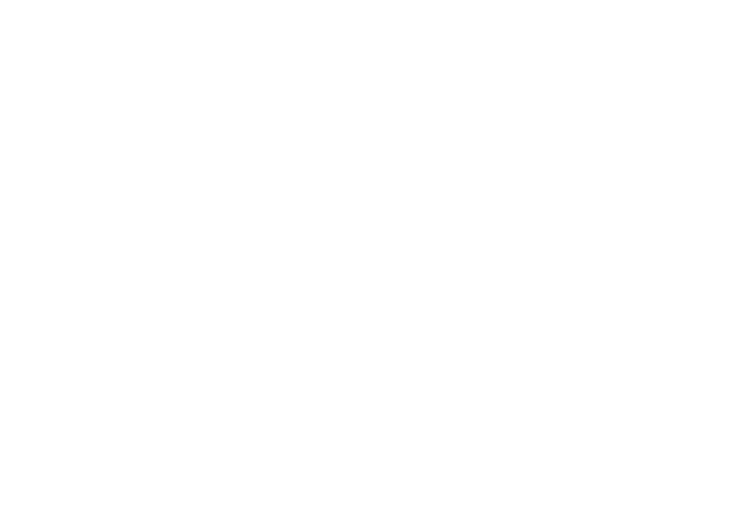 The S tristel logo